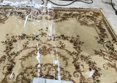 Trusted Commercial Rug Cleaner