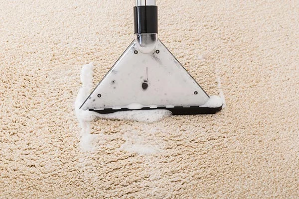 Carpet Shampooing