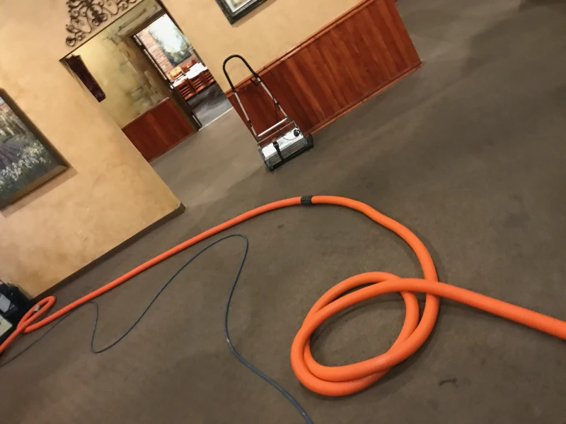 Excellent Carpet Cleaning Services