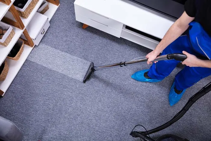 Expert Carpet Cleaning Services