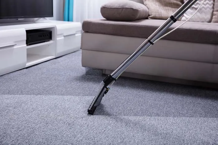 Professional Carpet Cleaning Services