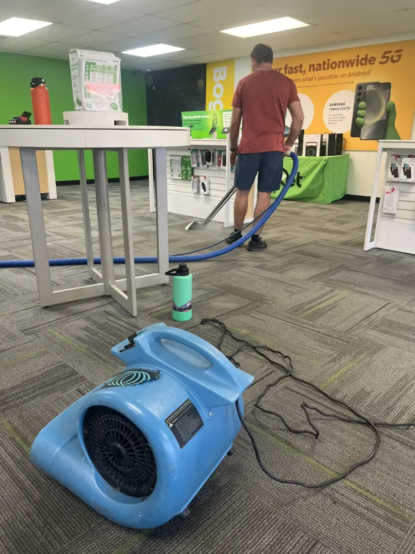 Skilled Carpet Cleaning Services