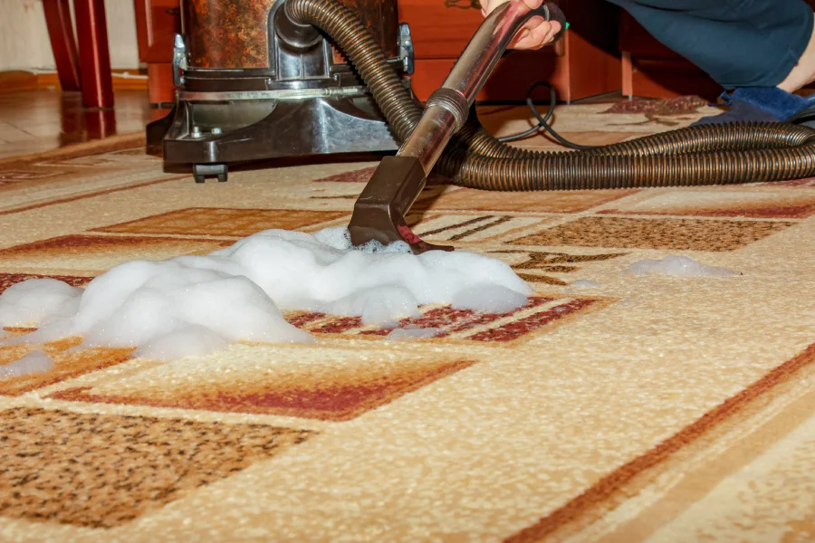 Affordable Carpet Shampooing in Mandeville, LA Affordable Carpet Shampooing in Mandeville, LA