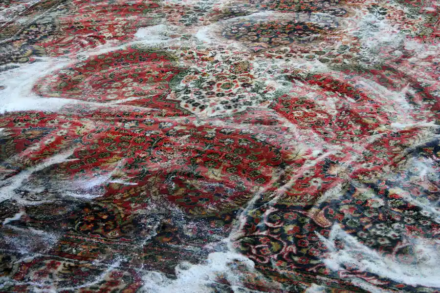 Experienced Carpet Shampooing Mandeville, LA Experienced Carpet Shampooing Mandeville, LA