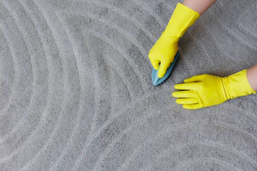 How to Prepare Your Home for Carpet Washing Service Mandeville, LA How to Prepare Your Home for Carpet Washing Service Mandeville, LA