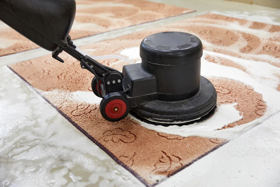 Professional Carpet Shampooing in Mandeville, LA Professional Carpet Shampooing in Mandeville, LA