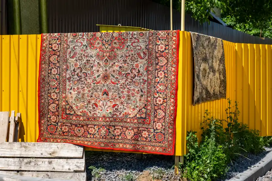 Professional Oriental Rug Cleaning in Mandeville, LA Professional Oriental Rug Cleaning in Mandeville, LA