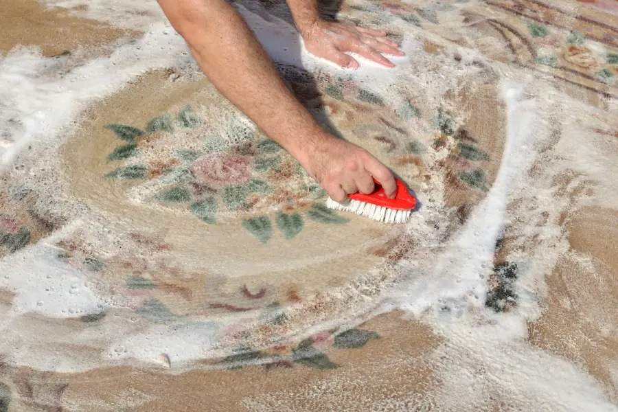 The Role Of Carpet Shampooing In Allergy Prevention Mandeville, LA The Role Of Carpet Shampooing In Allergy Prevention Mandeville, LA