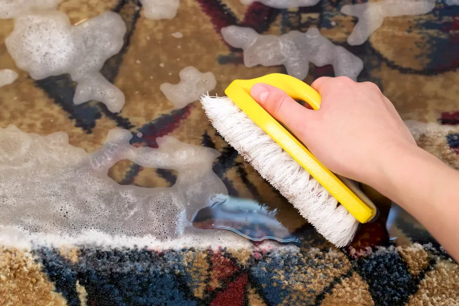 The Role Of Carpet Shampooing In Allergy Prevention in Mandeville, LA The Role Of Carpet Shampooing In Allergy Prevention in Mandeville, LA