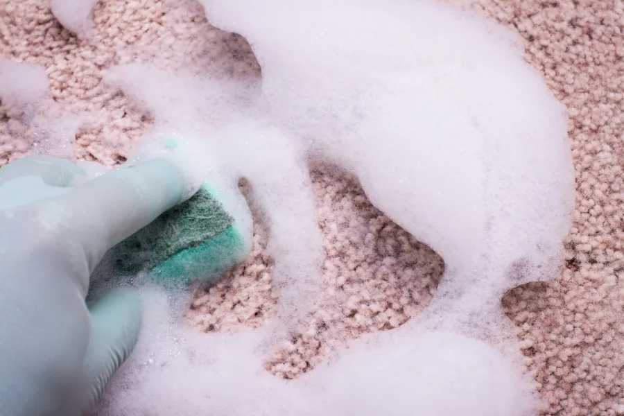 The Role of Carpet Shampooing in Allergy Prevention Mandeville, LA The Role of Carpet Shampooing in Allergy Prevention Mandeville, LA